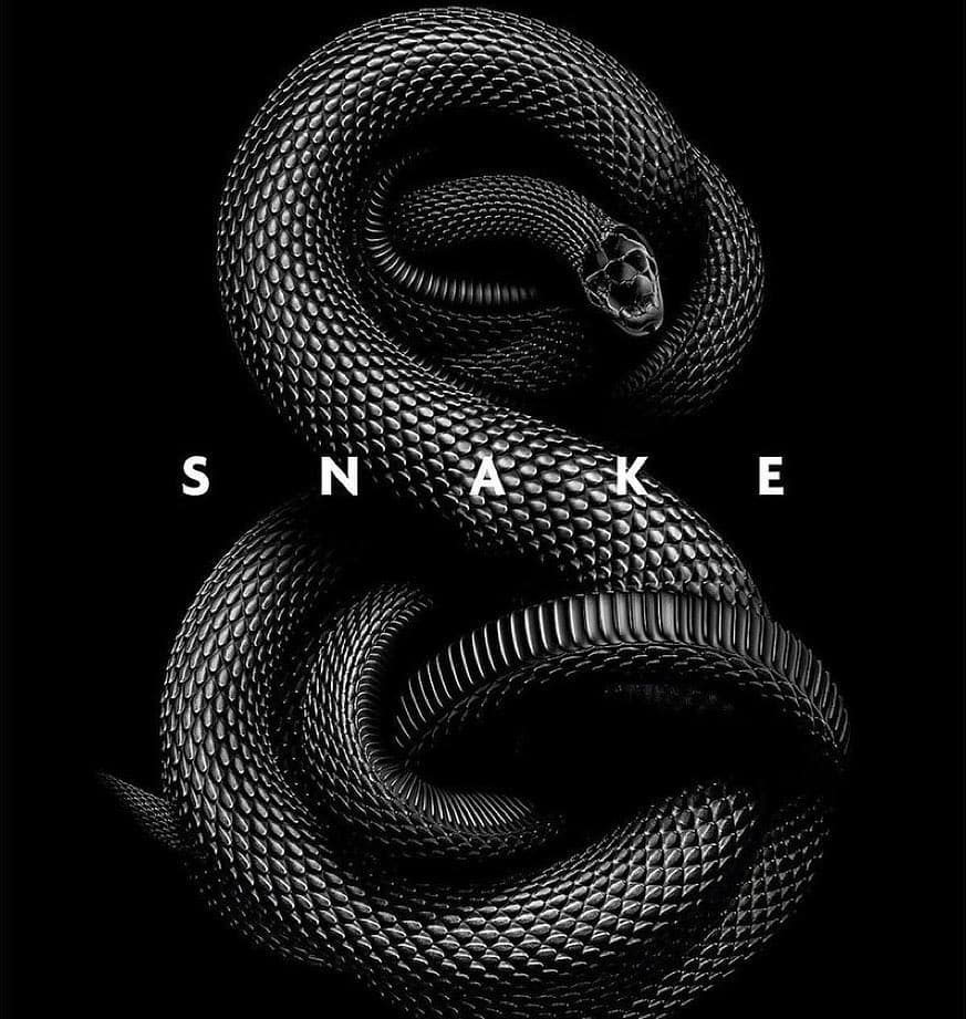 Aesthetic Black Snake Desktop Wallpapers