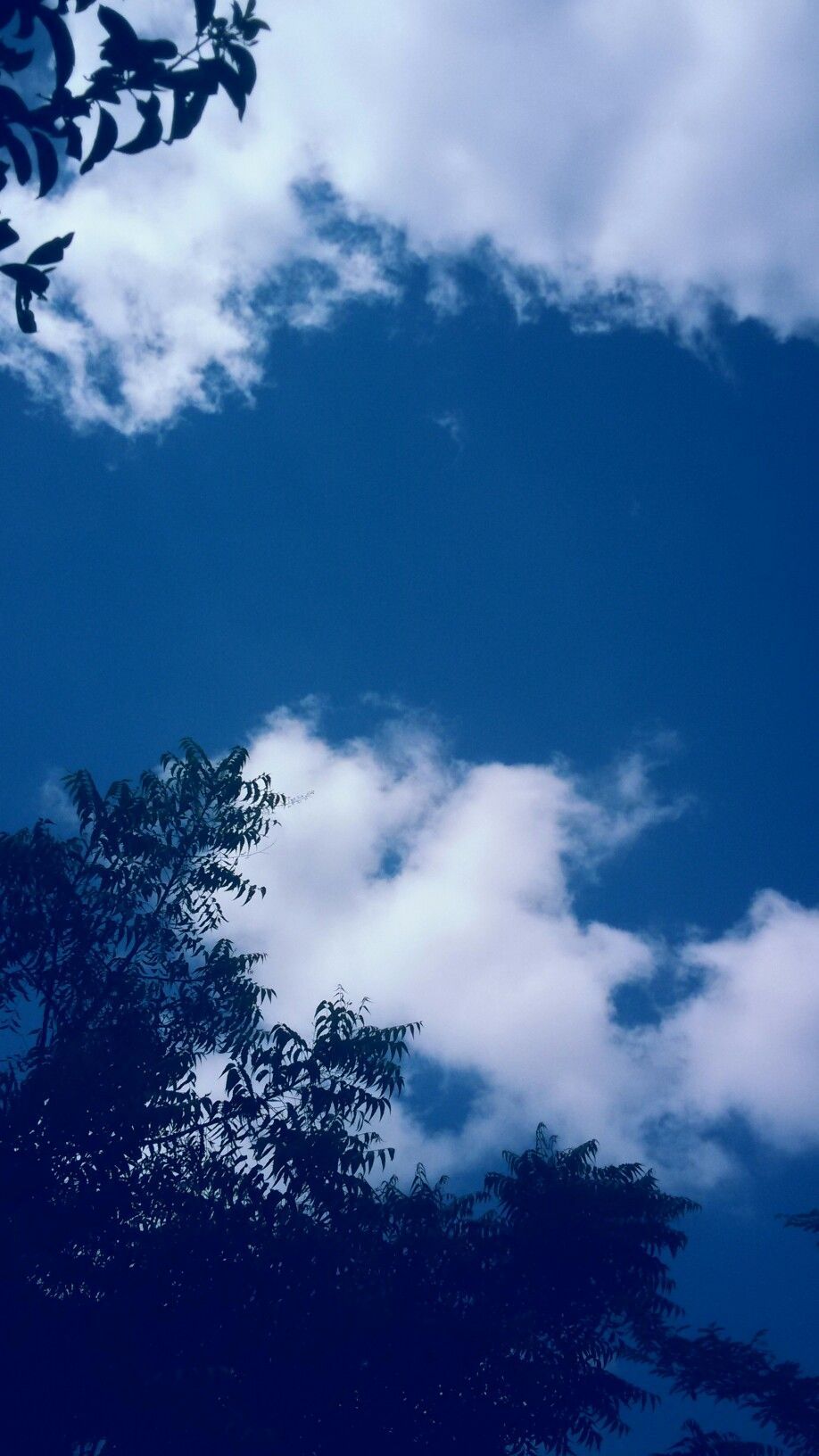 Aesthetic Blue Clouds Wallpapers