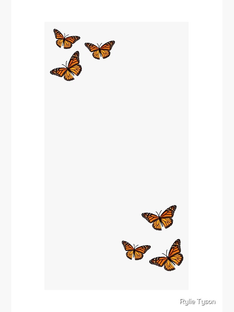 Aesthetic Butterflies Wallpapers