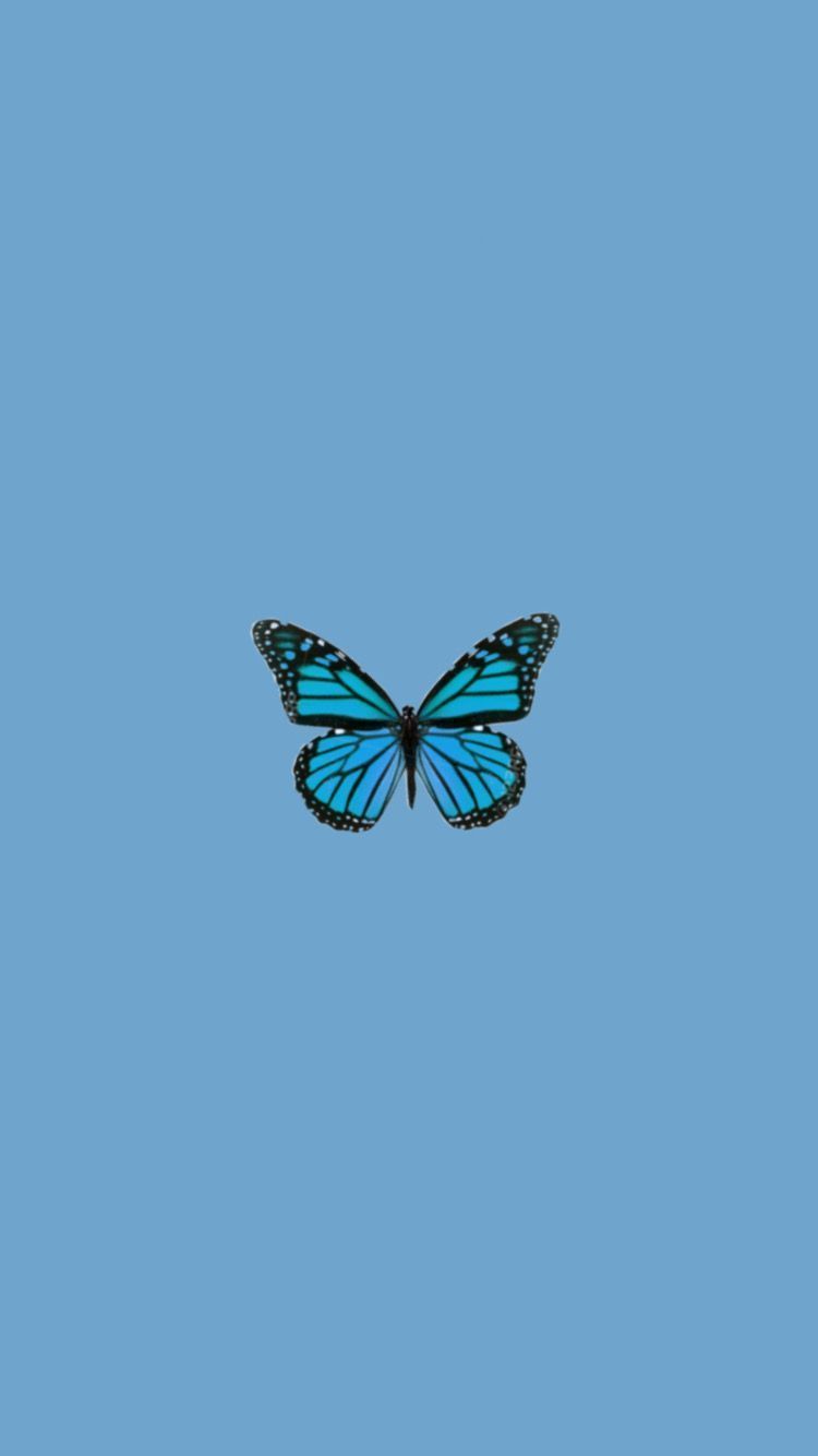 Aesthetic Butterflies Wallpapers