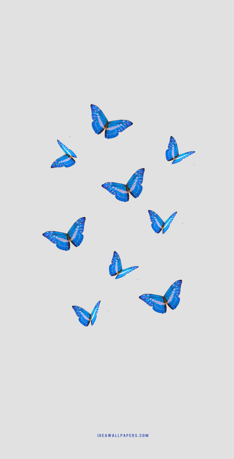 Aesthetic Butterflies Wallpapers