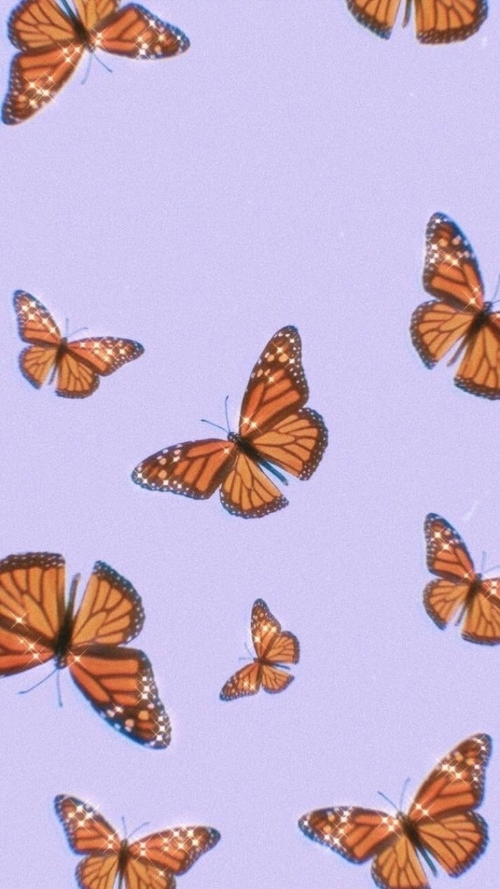 Aesthetic Butterfly Desktop Wallpapers