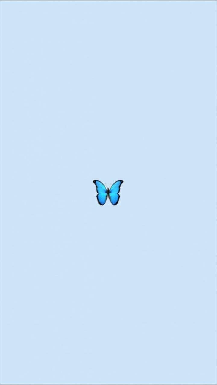 Aesthetic Butterfly Desktop Wallpapers