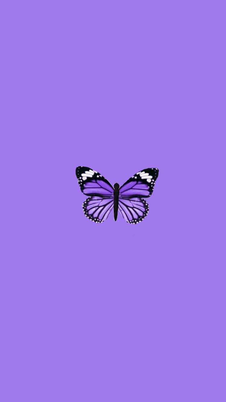 Aesthetic Butterfly Purple Wallpapers