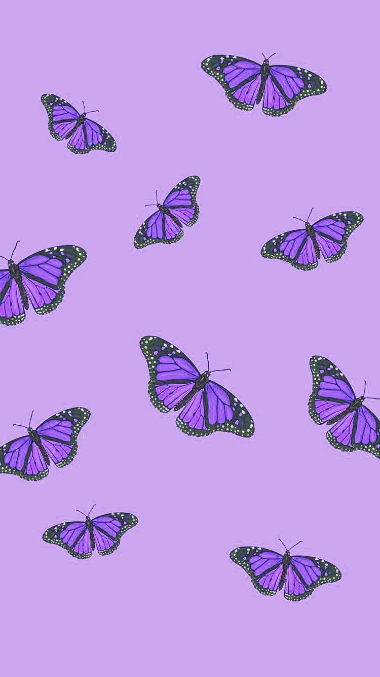 Aesthetic Butterfly Purple Wallpapers