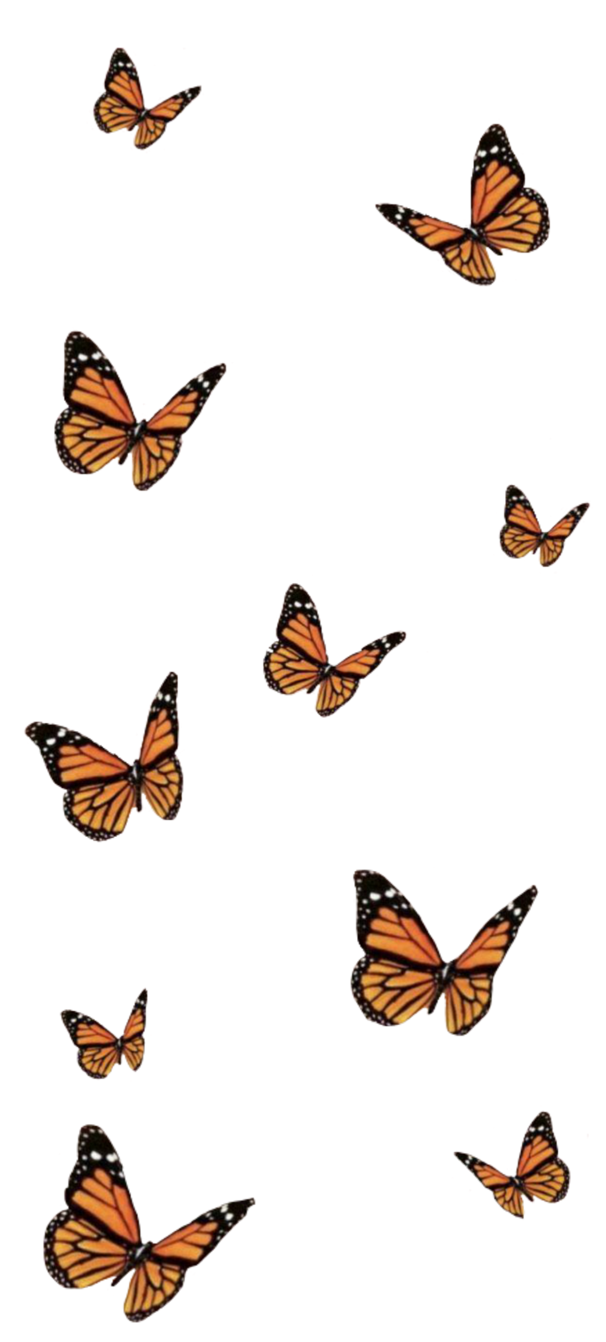 Aesthetic Butterfly Vsco Wallpapers