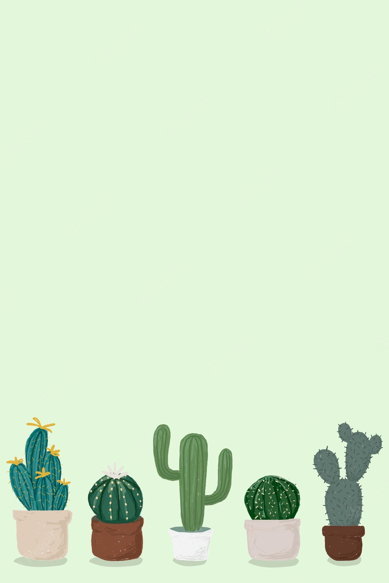 Aesthetic Cactus Wallpapers