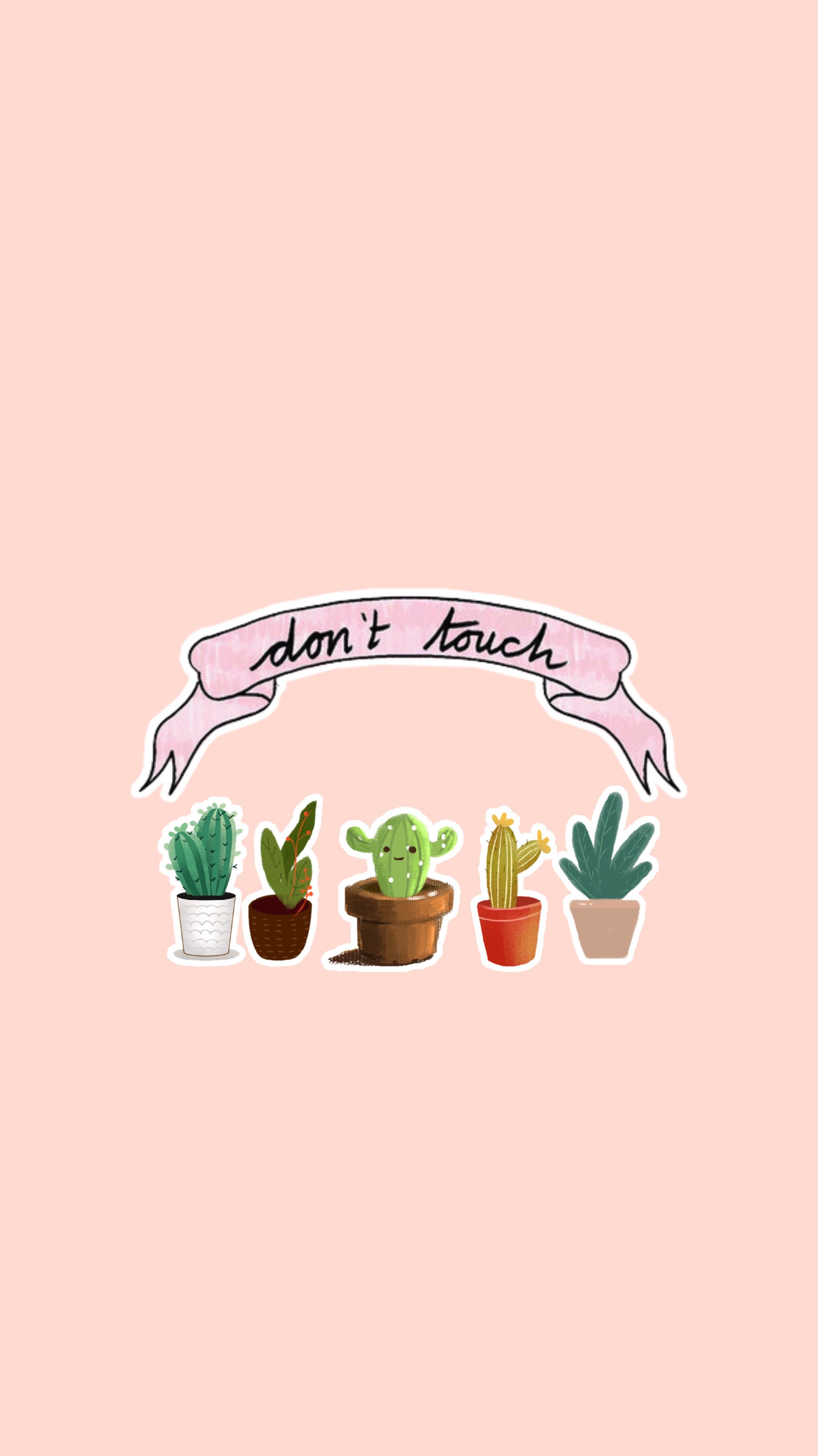 Aesthetic Cactus Wallpapers