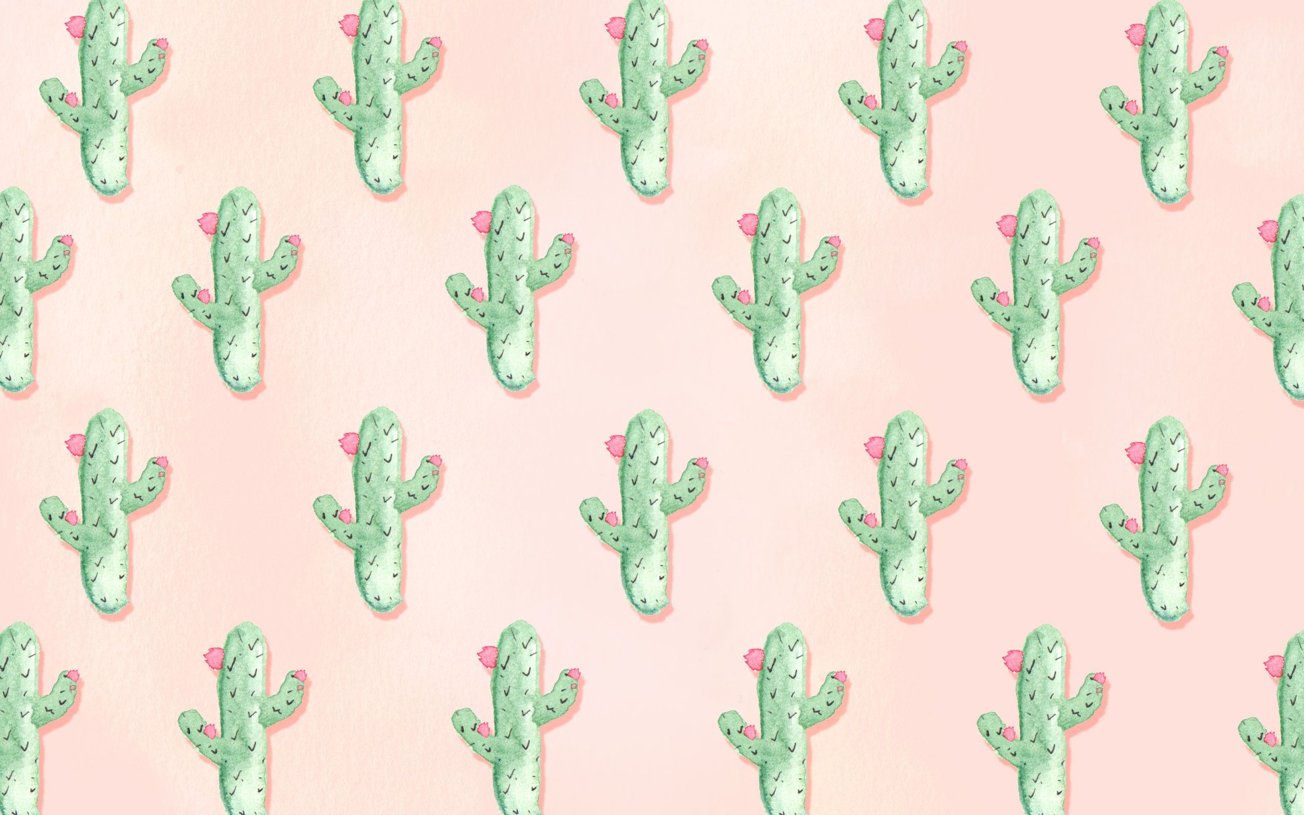 Aesthetic Cactus Wallpapers