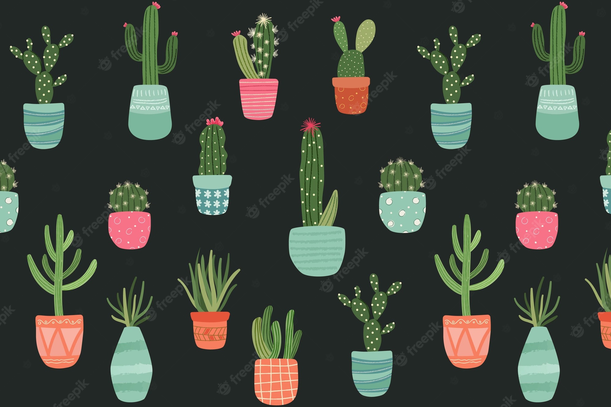 Aesthetic Cactus Wallpapers