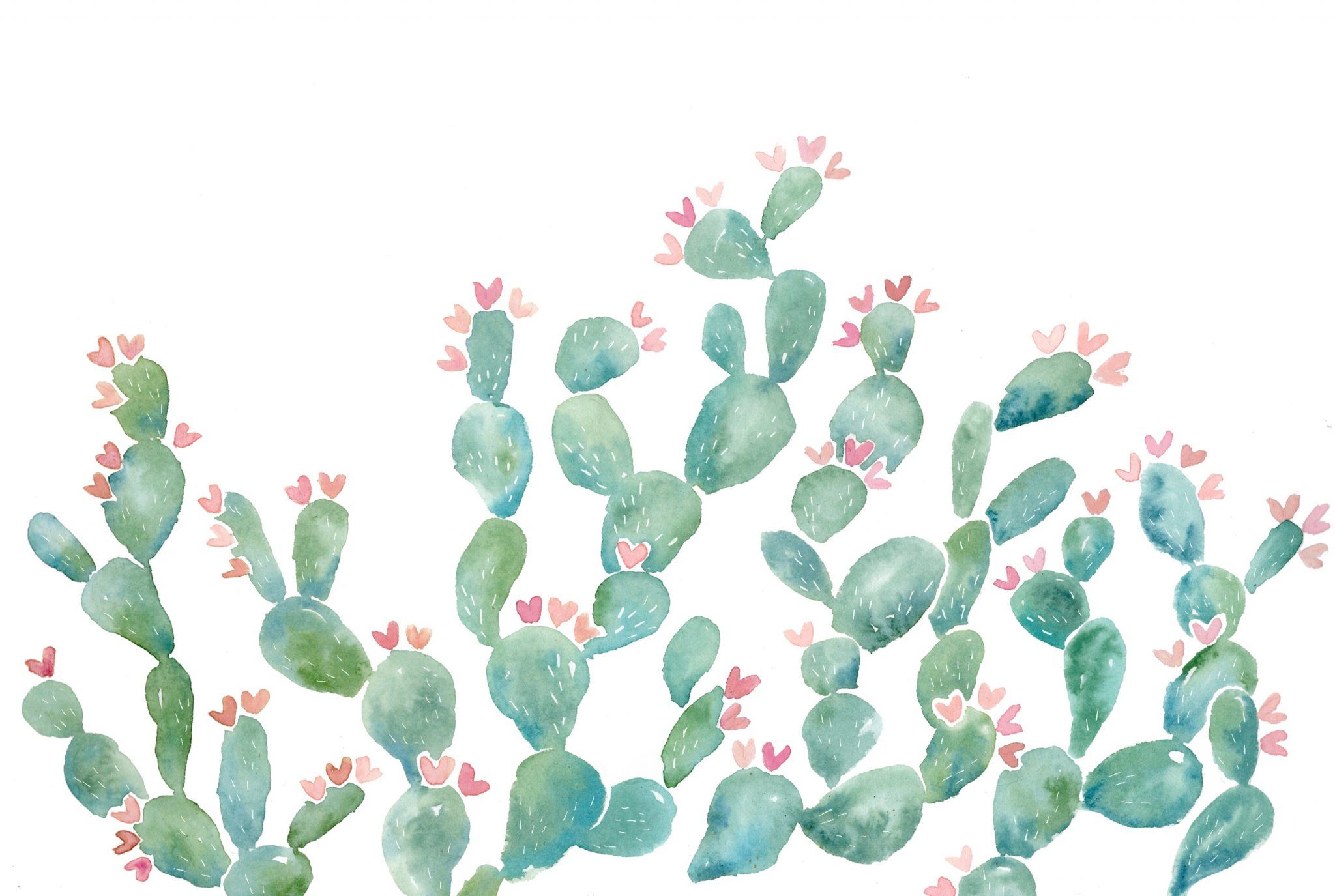 Aesthetic Cactus Wallpapers