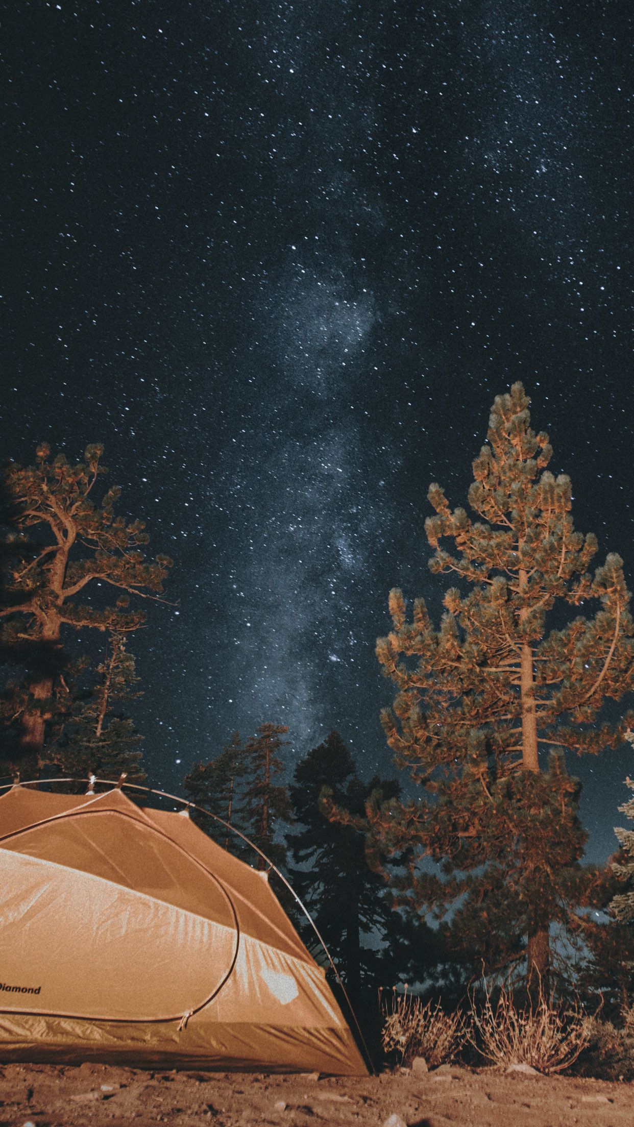 Aesthetic Camping Wallpapers