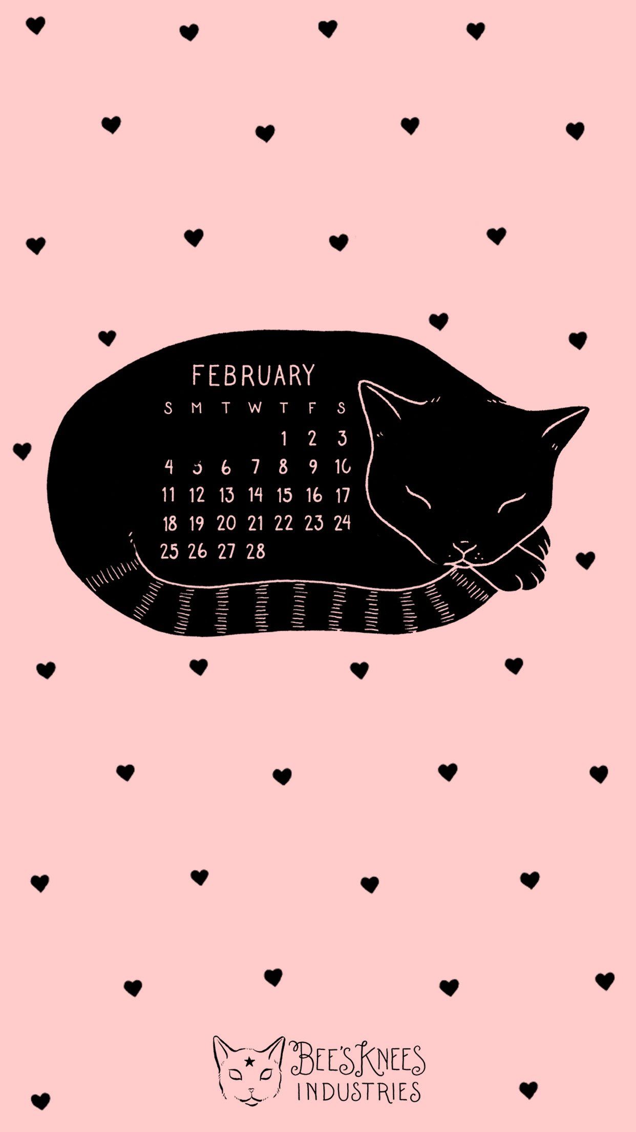 Aesthetic Cat Wallpapers