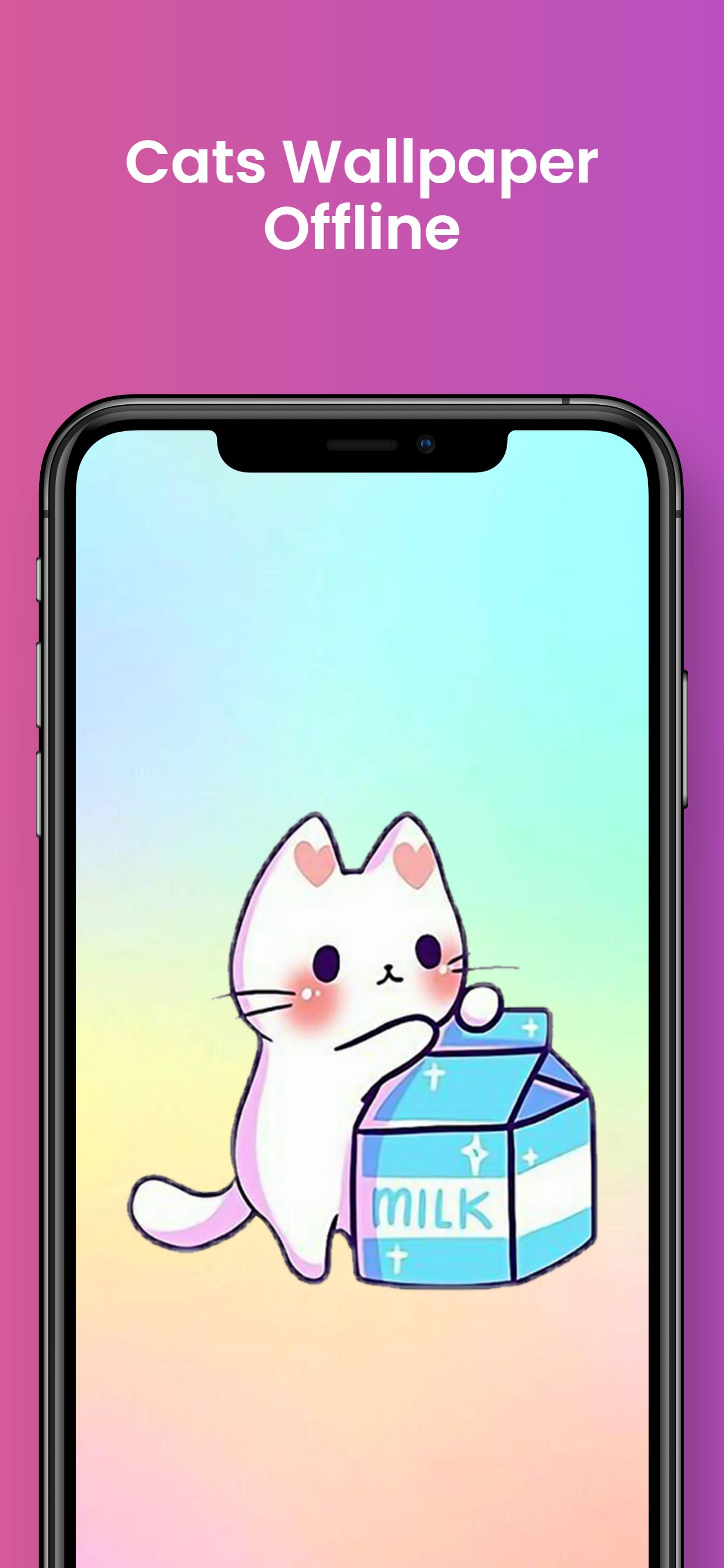 Aesthetic Cat Wallpapers