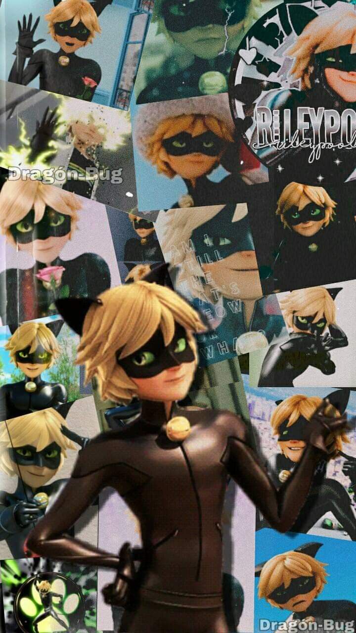 Aesthetic Chat Noir Wallpapers