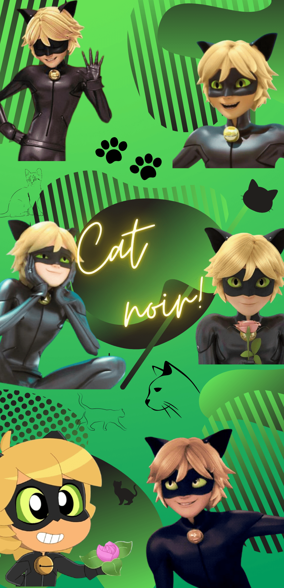 Aesthetic Chat Noir Wallpapers