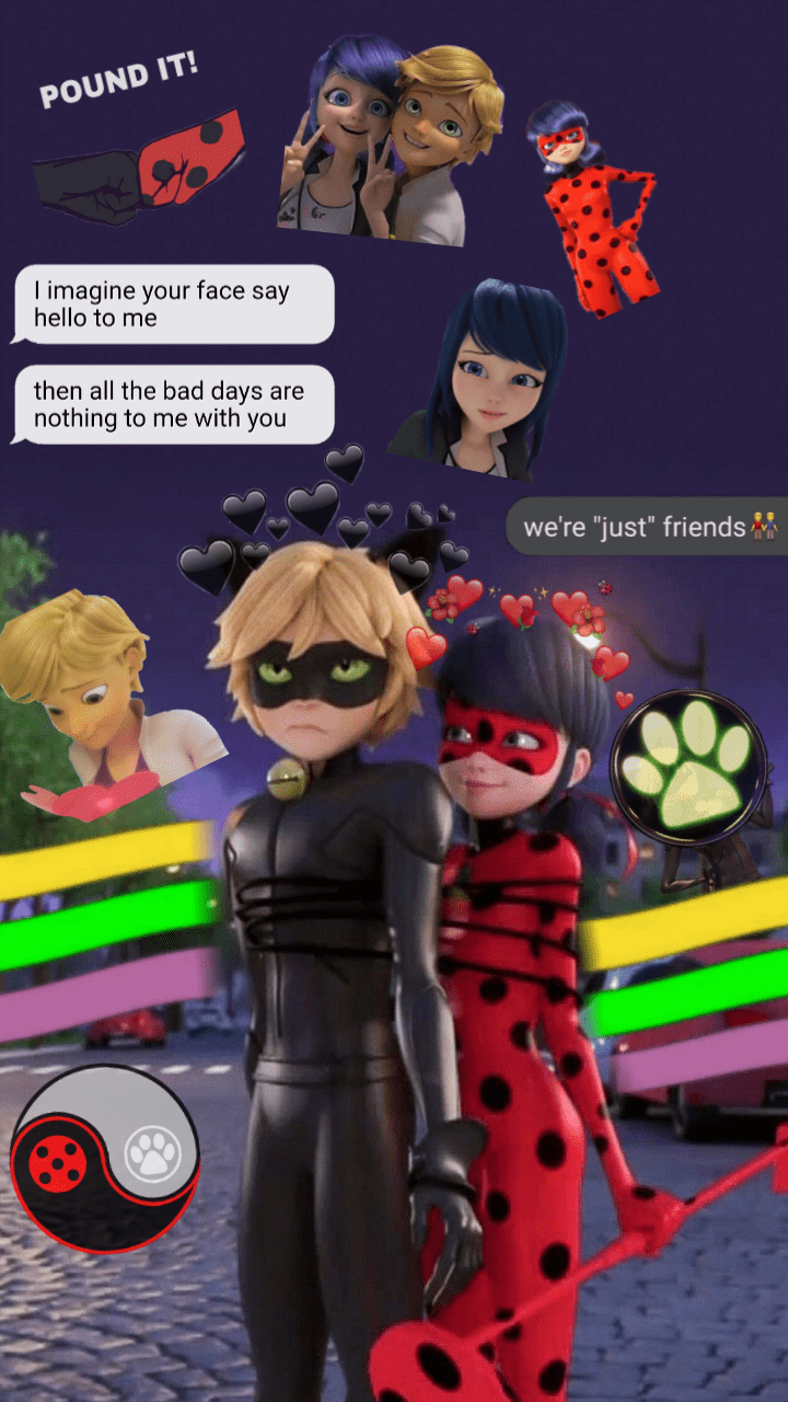 Aesthetic Chat Noir Wallpapers