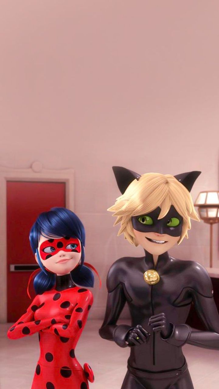 Aesthetic Chat Noir Wallpapers