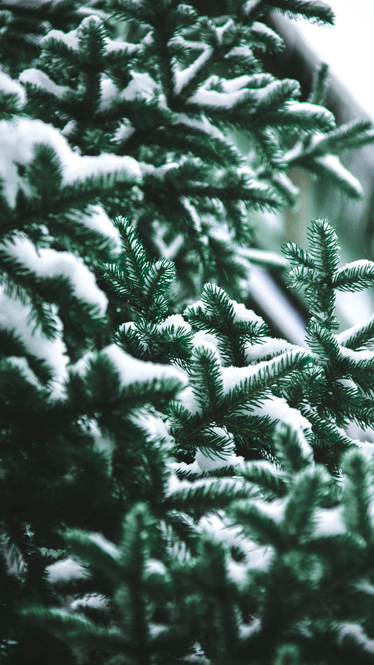 Aesthetic Christmas Iphone Wallpapers