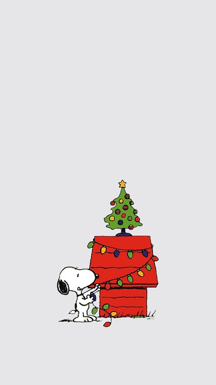 Aesthetic Christmas Profile Picture Wallpapers