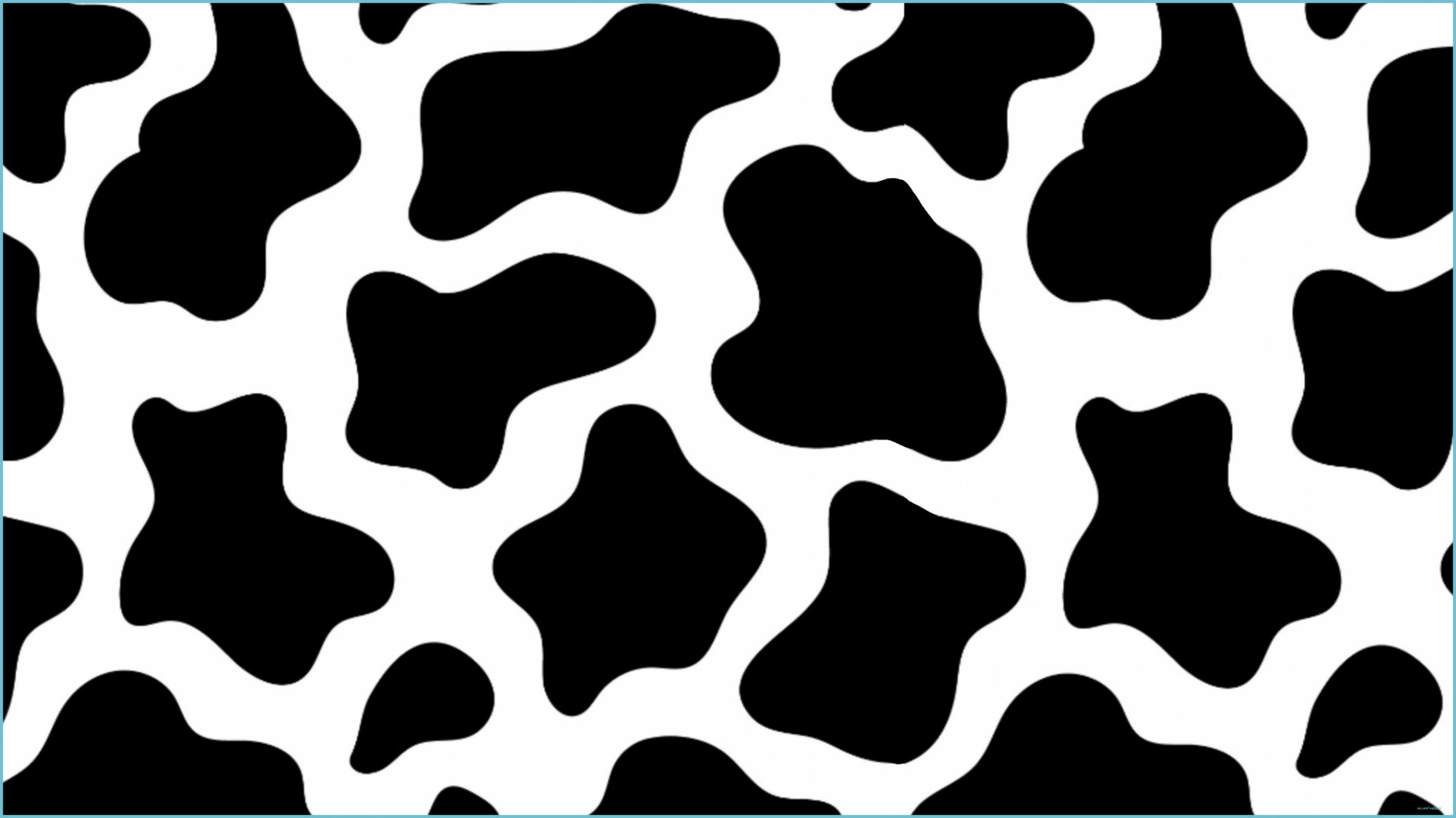 Aesthetic Cow Print Wallpapers