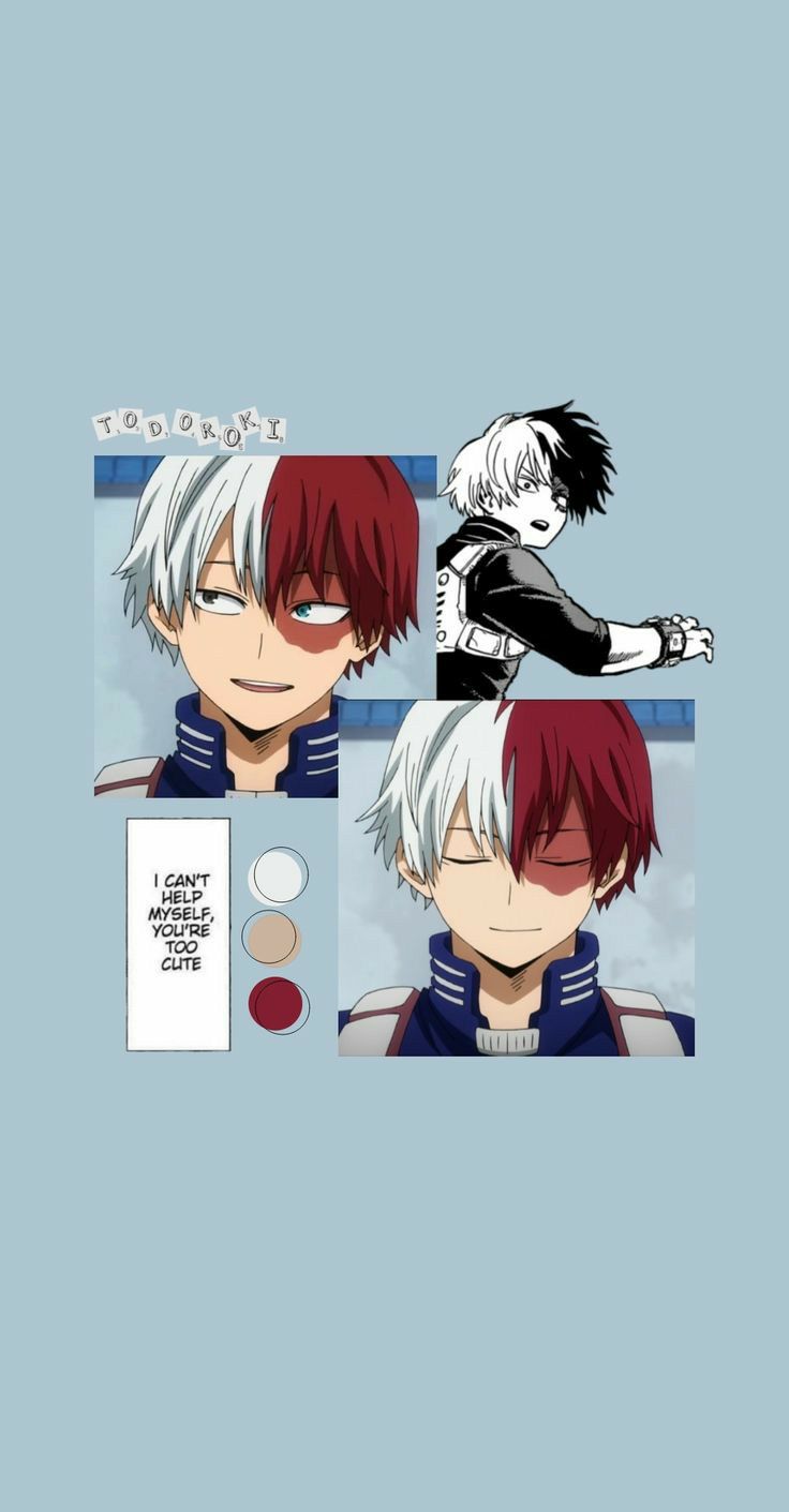 Aesthetic Cute Todoroki Wallpapers