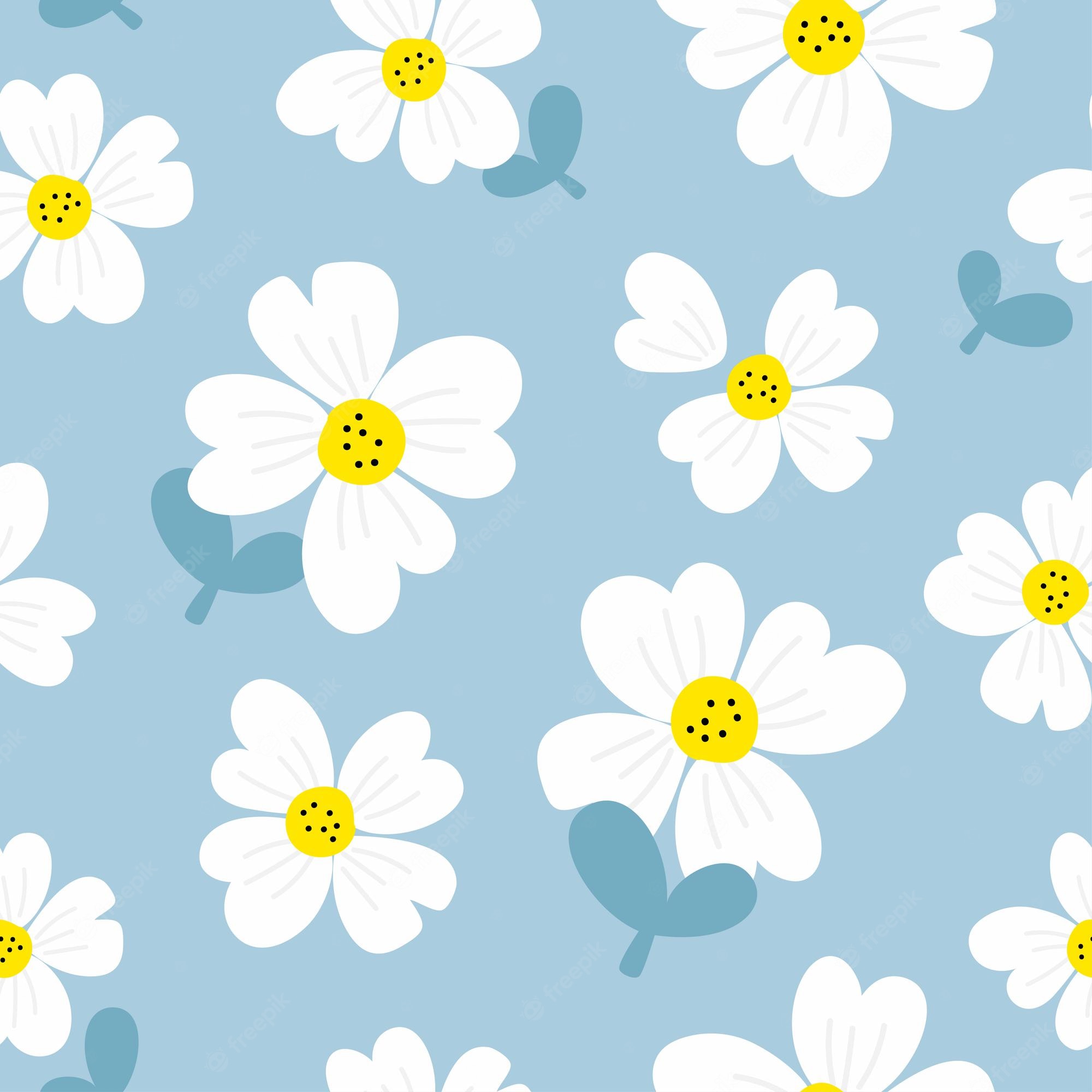 Aesthetic Daisy Wallpapers