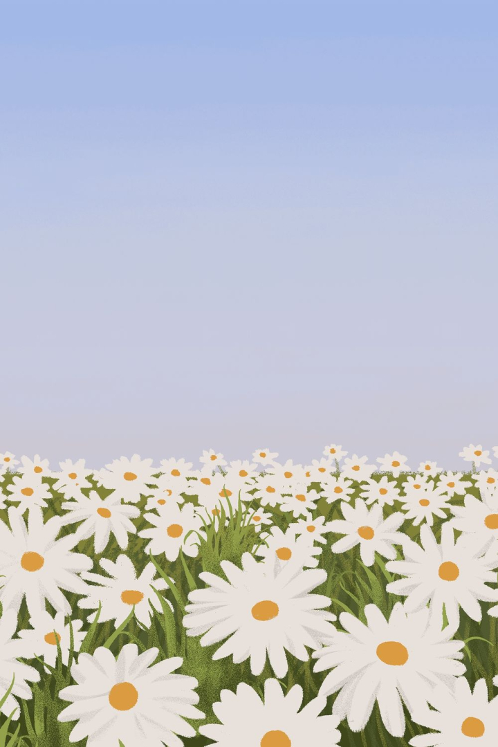 Aesthetic Daisy Wallpapers