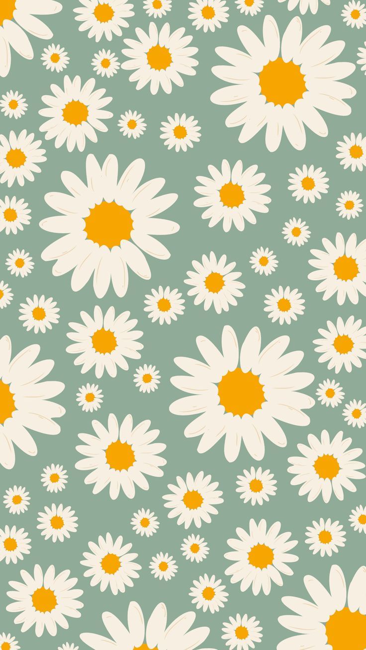 Aesthetic Daisy Wallpapers