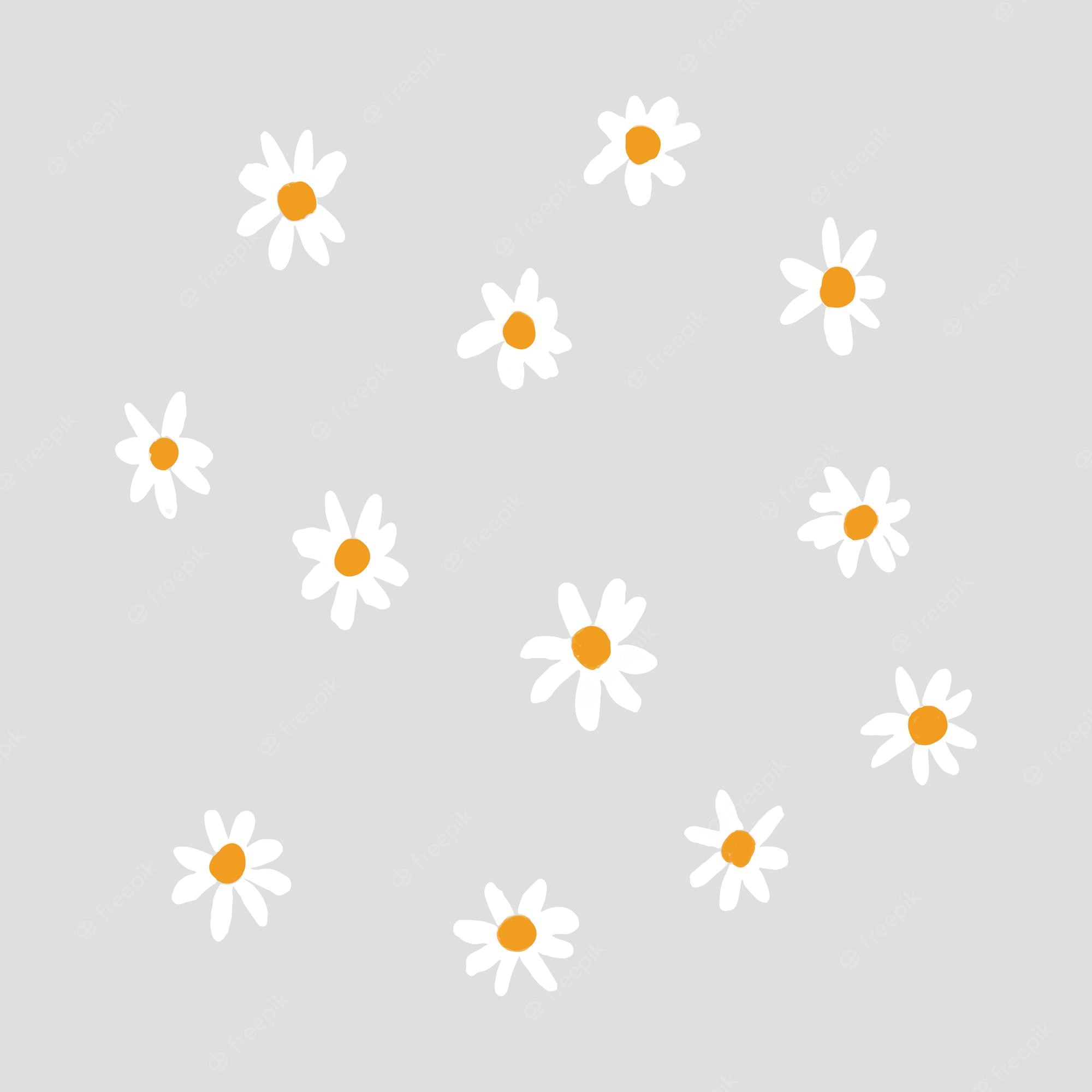 Aesthetic Daisy Wallpapers