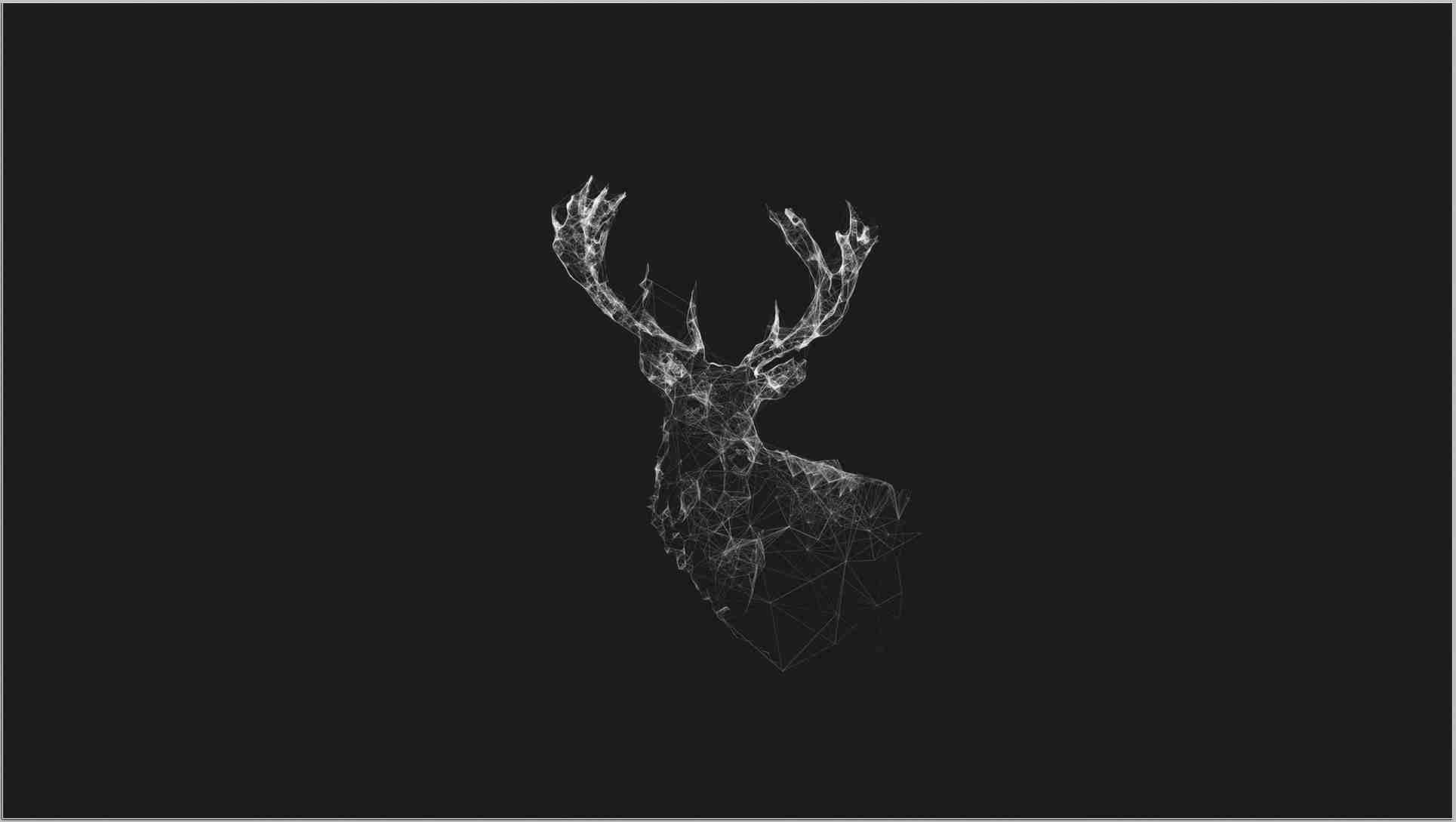 Aesthetic Deer Wallpapers