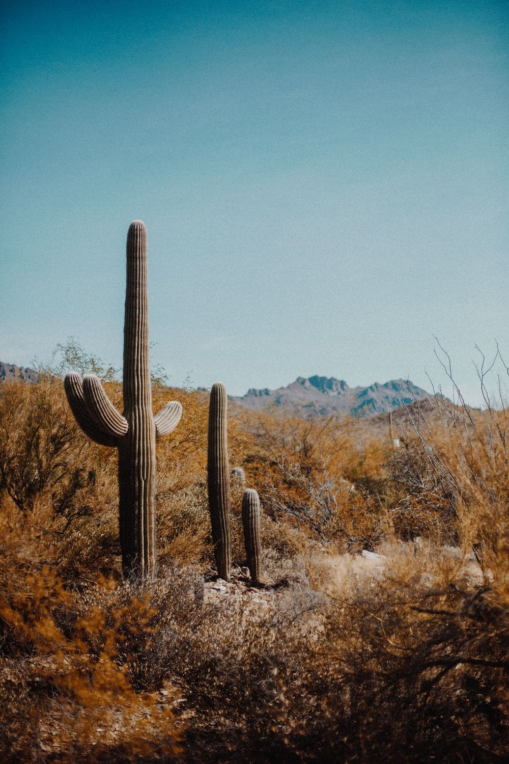 Aesthetic Desert Wallpapers