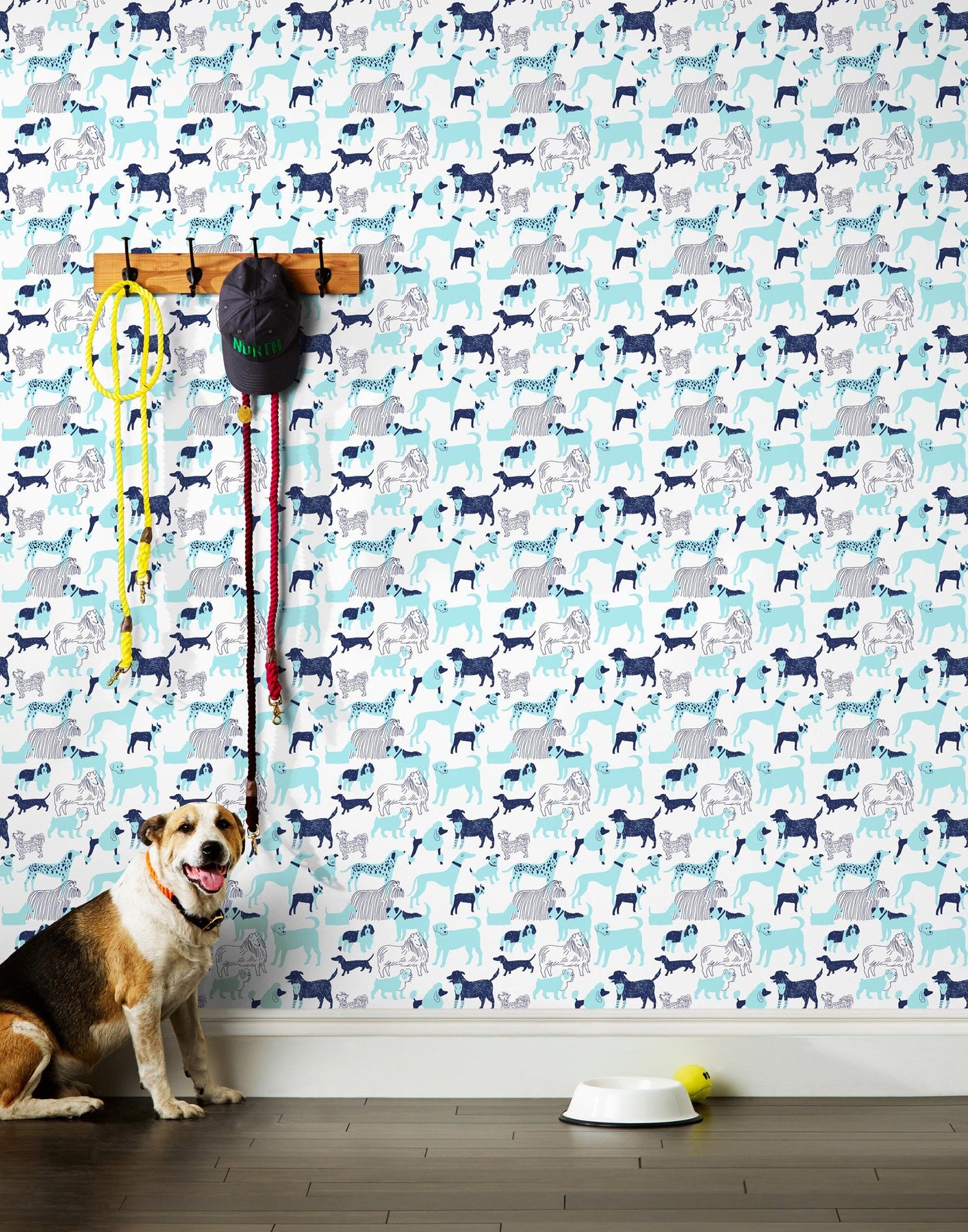 Aesthetic Dog Wallpapers