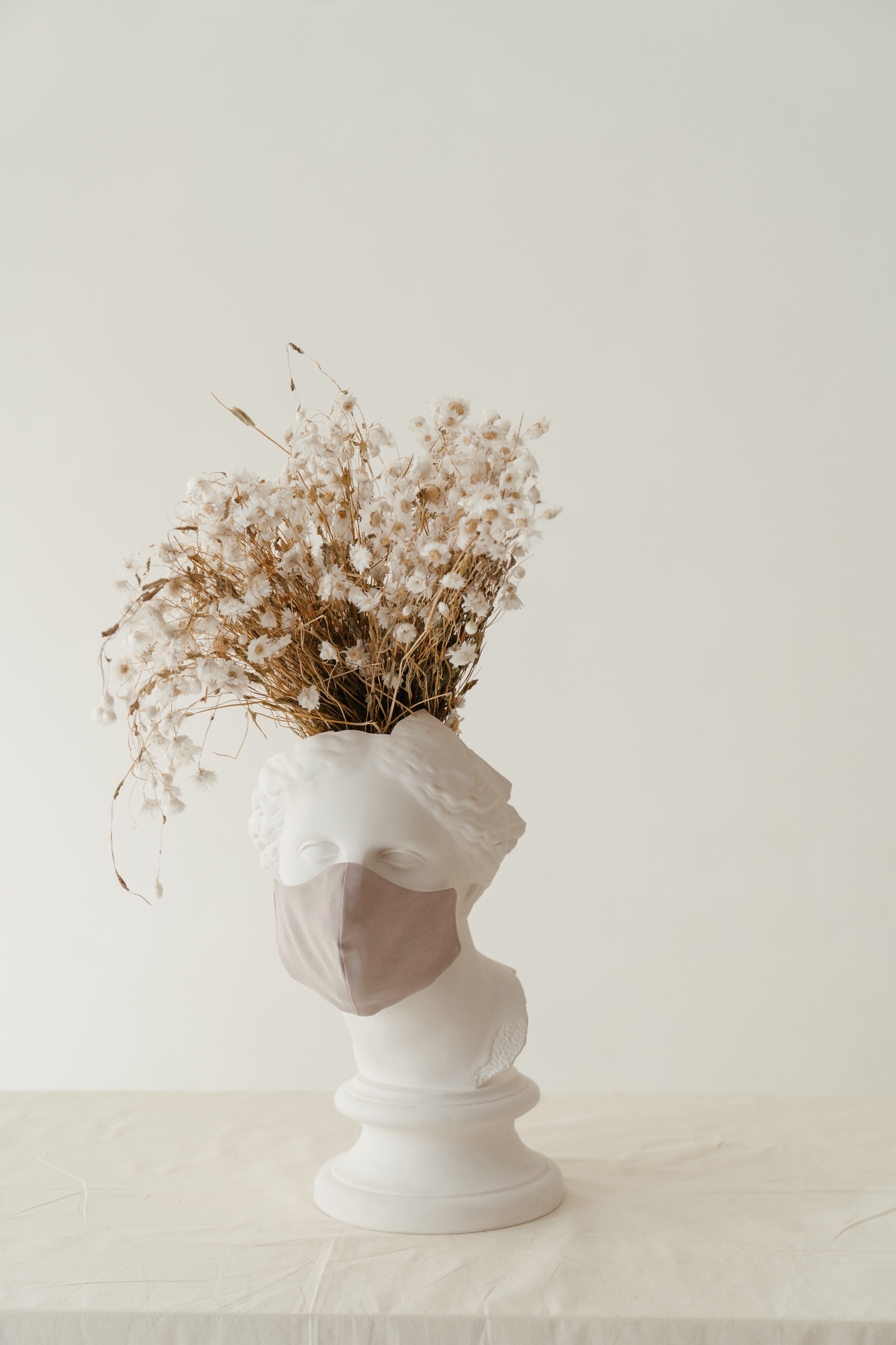 Aesthetic Dried Flower Wallpapers