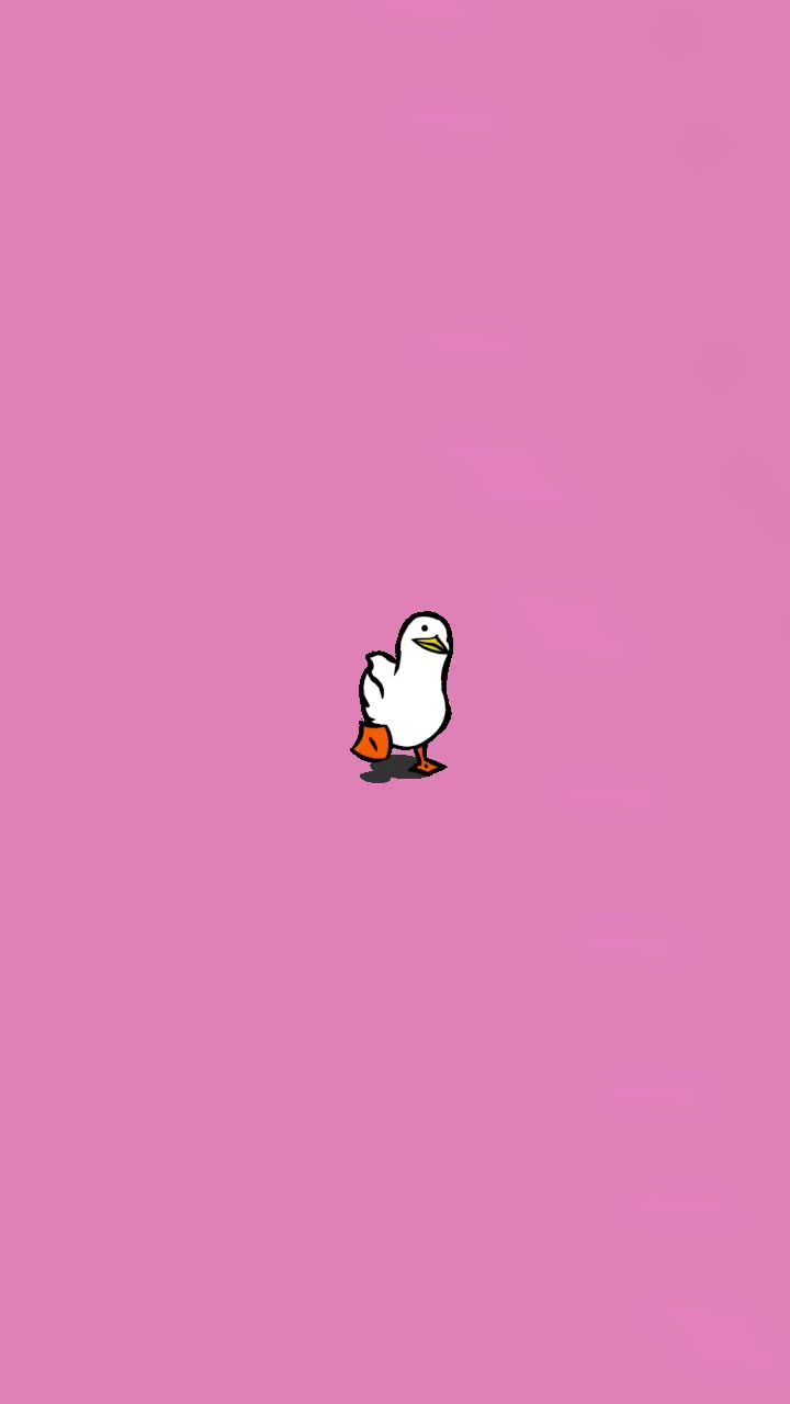 Aesthetic Duck Wallpapers