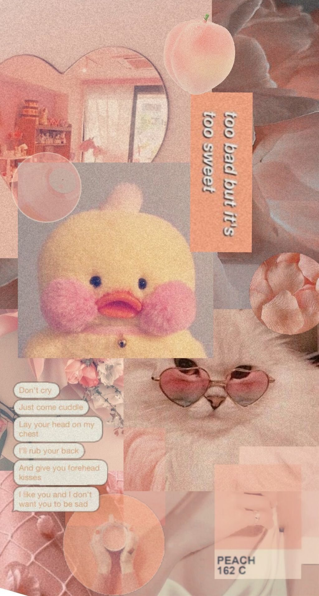 Aesthetic Duck Wallpapers