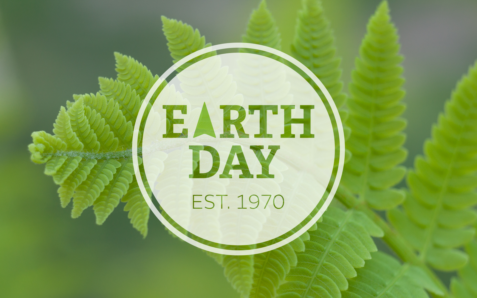 Aesthetic Earth Day Wallpapers