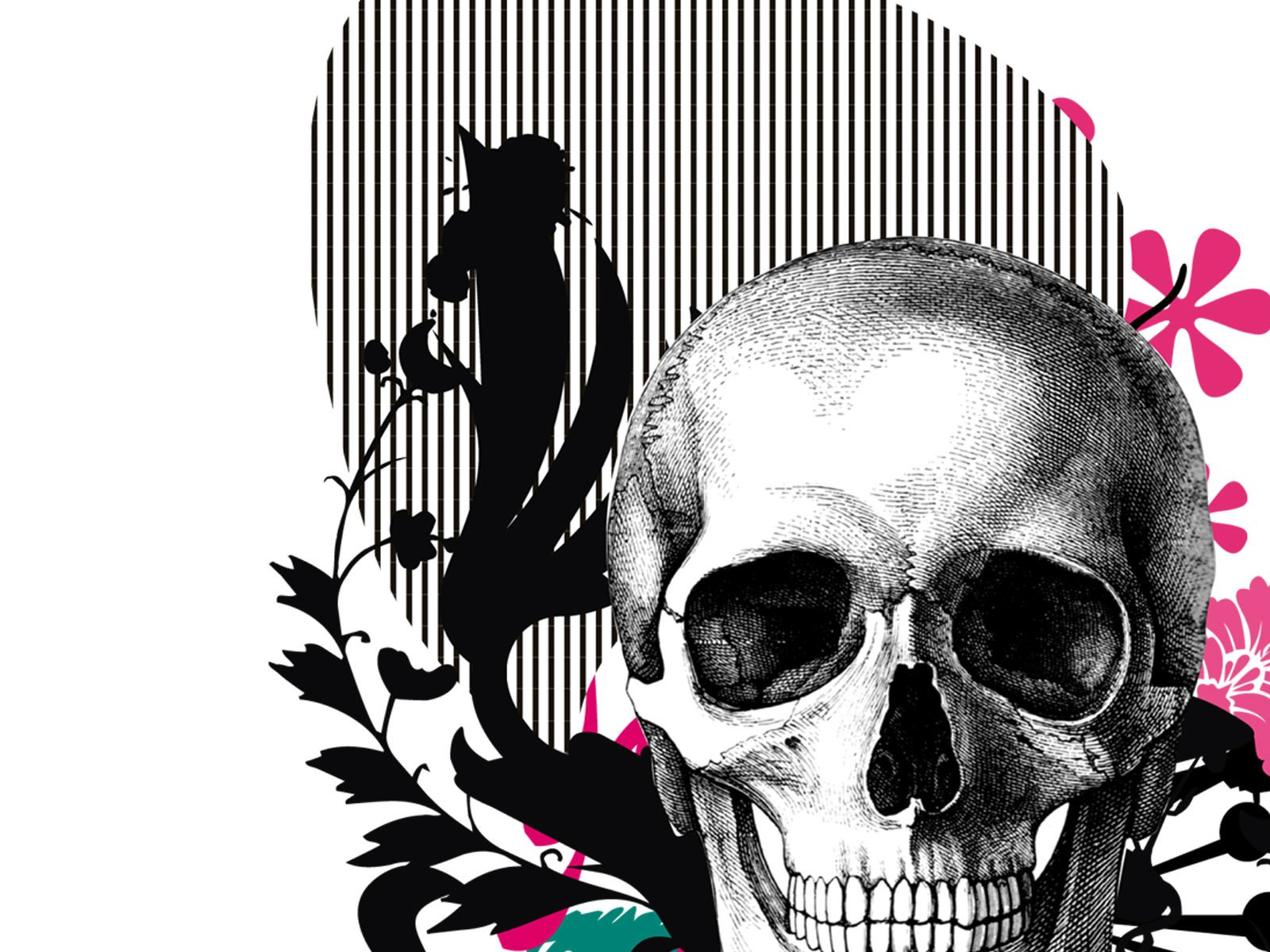 Aesthetic Emo Skull Wallpapers