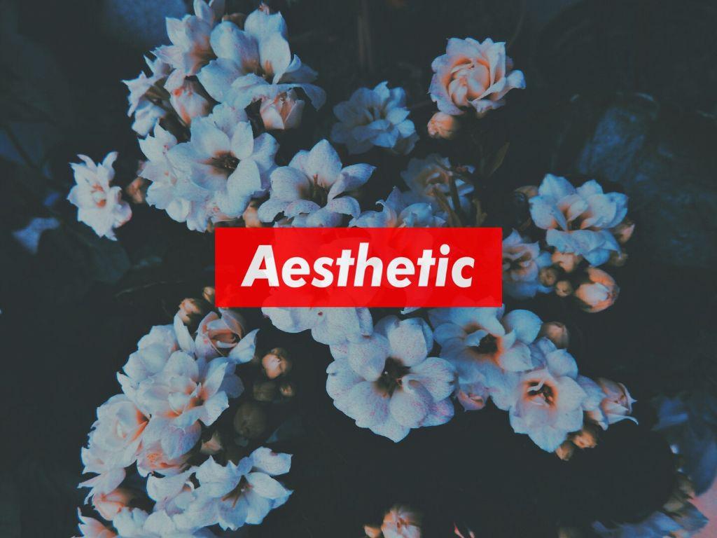 Aesthetic Floral Wallpapers