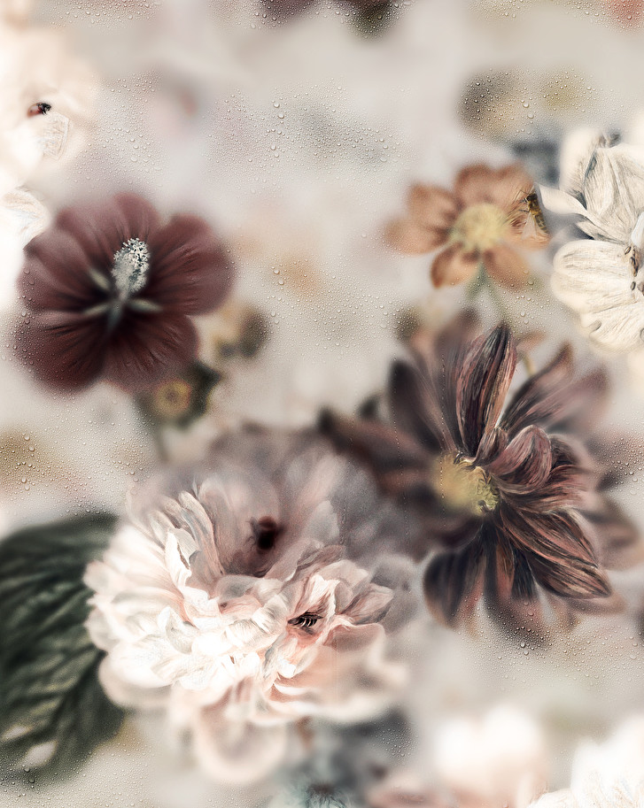 Aesthetic Floral Wallpapers