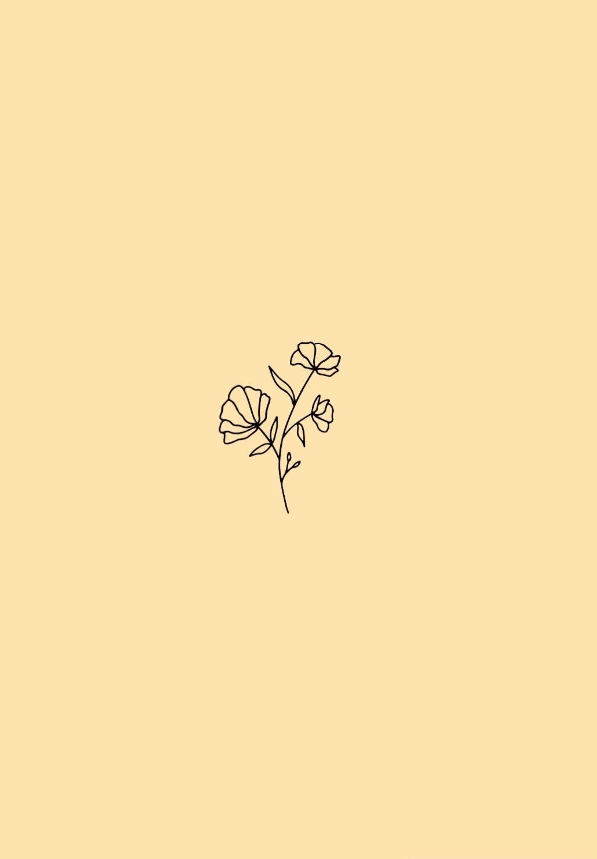 Aesthetic Flower Drawing Wallpapers