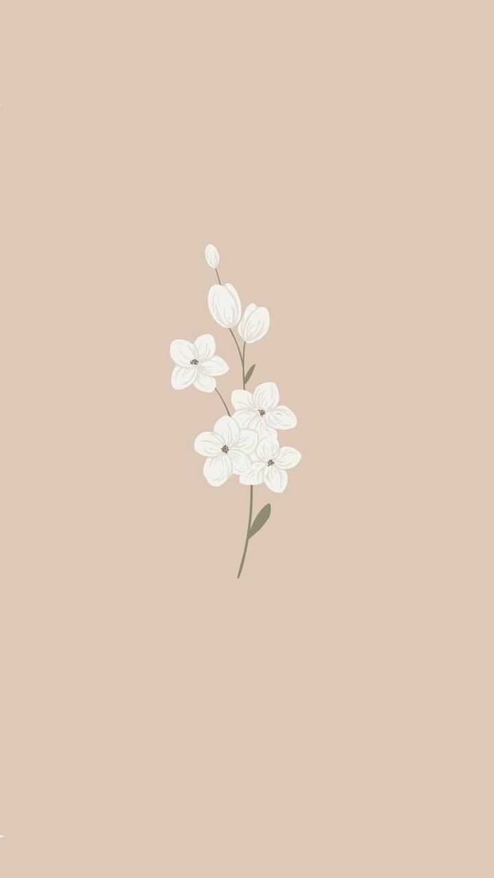 Aesthetic Flower Drawing Wallpapers