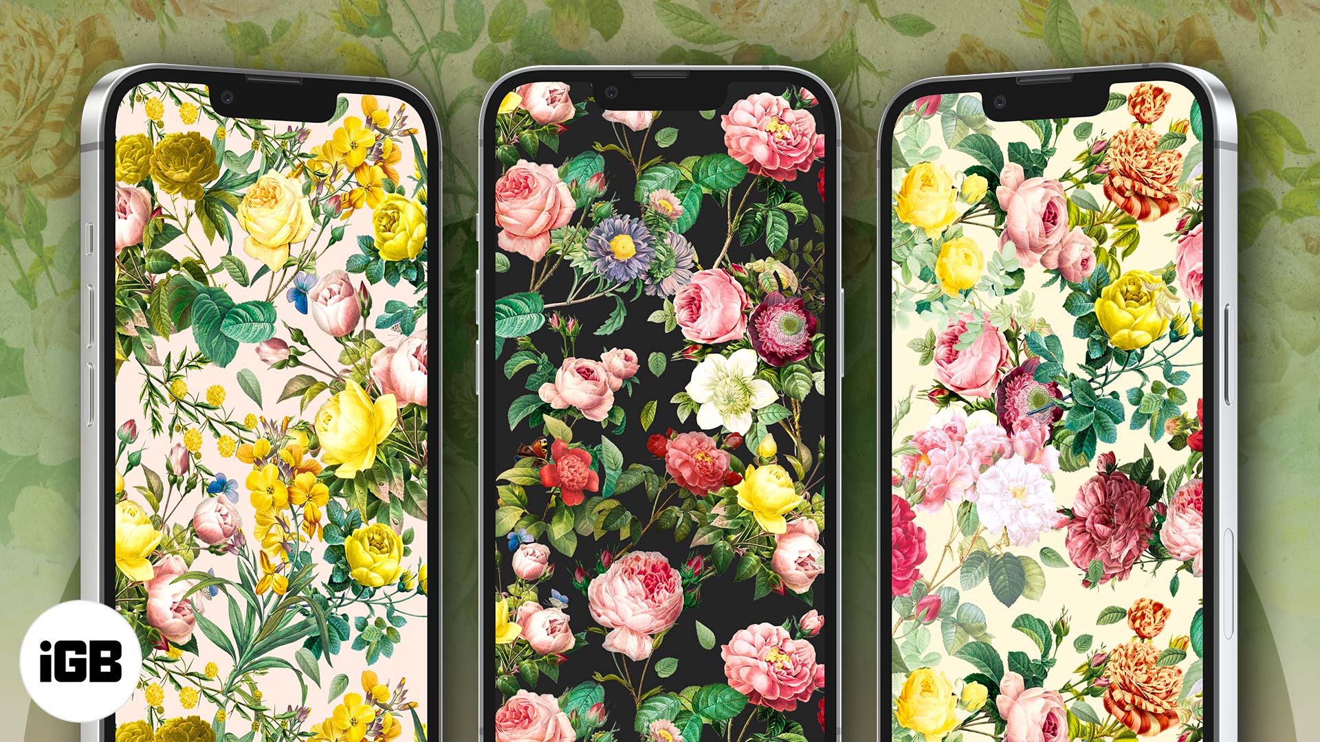 Aesthetic Flowers Iphone Wallpapers