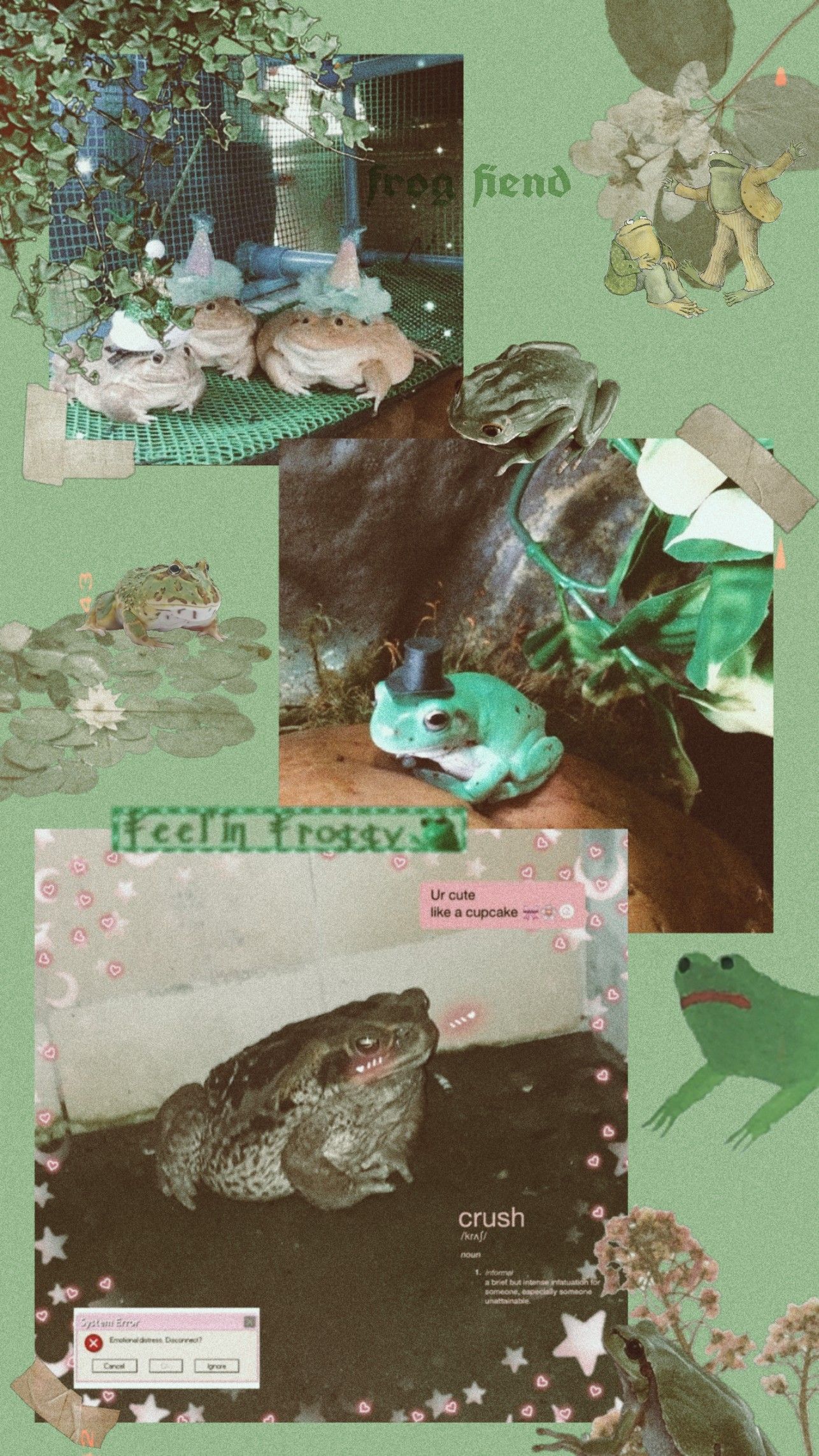 Aesthetic Frog Wallpapers