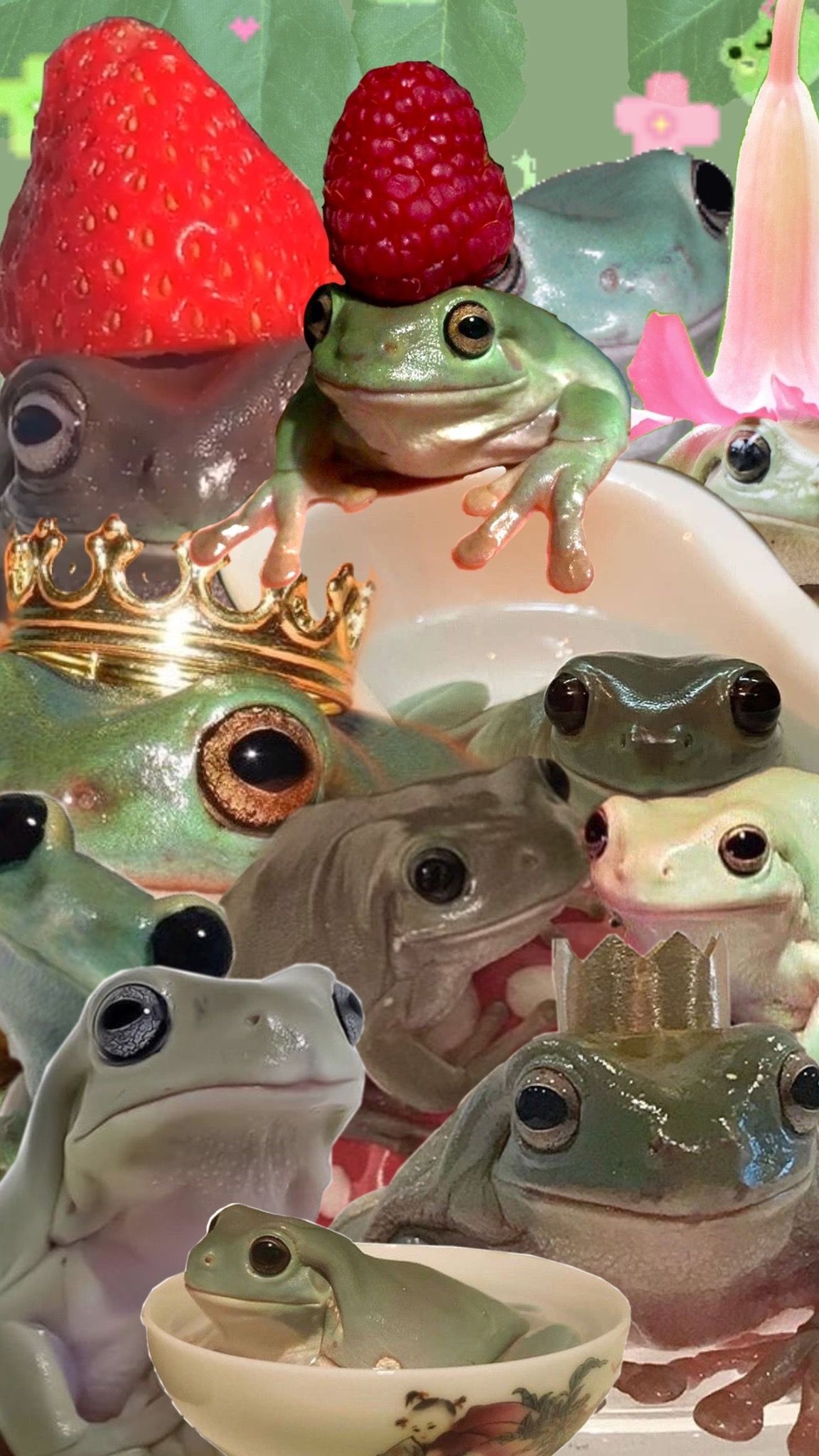 Aesthetic Frog Wallpapers