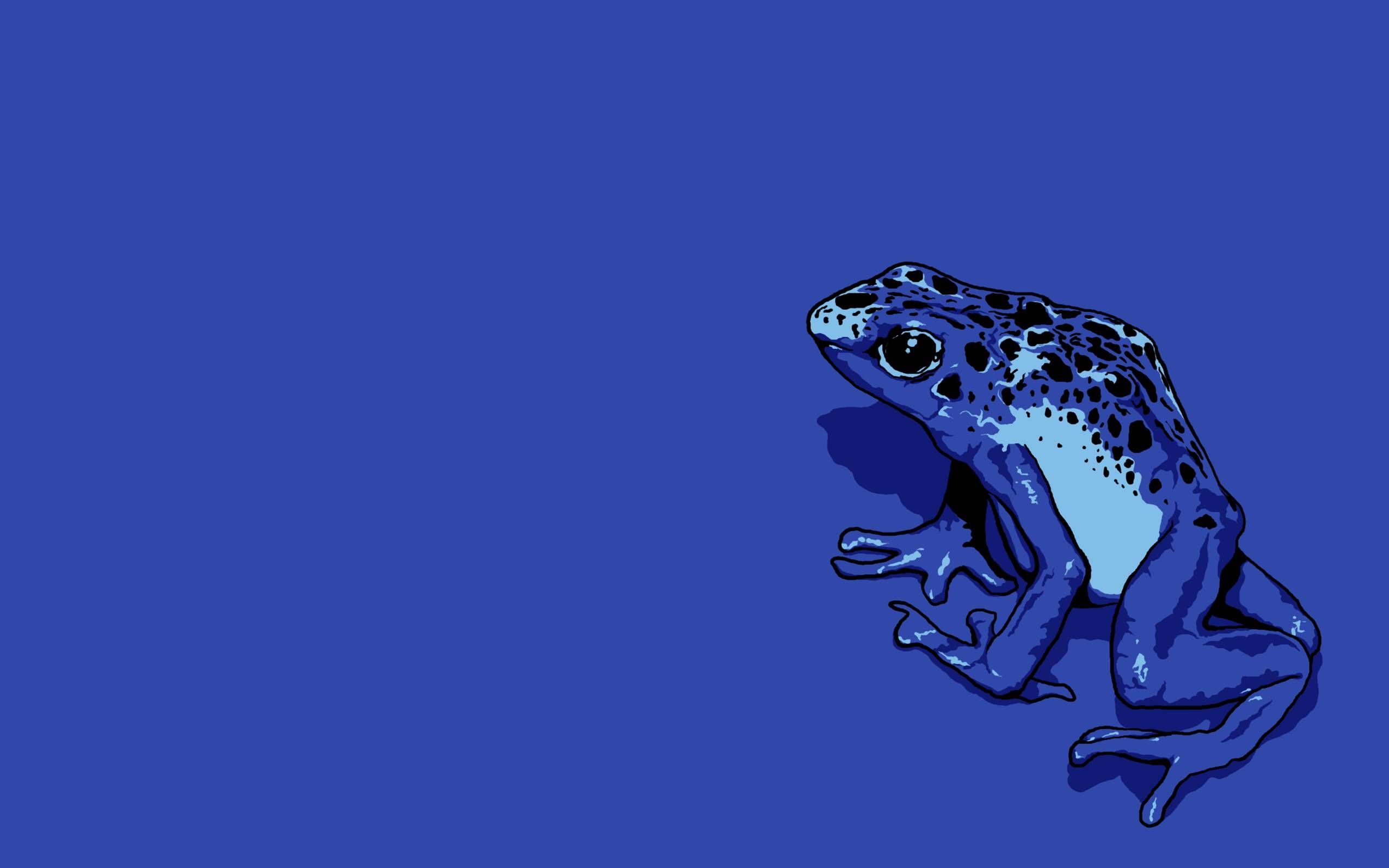 Aesthetic Frog Wallpapers