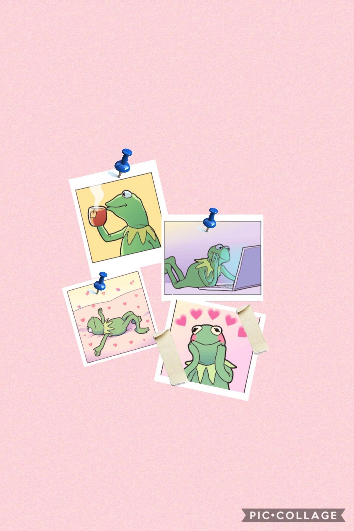 Aesthetic Frog Wallpapers