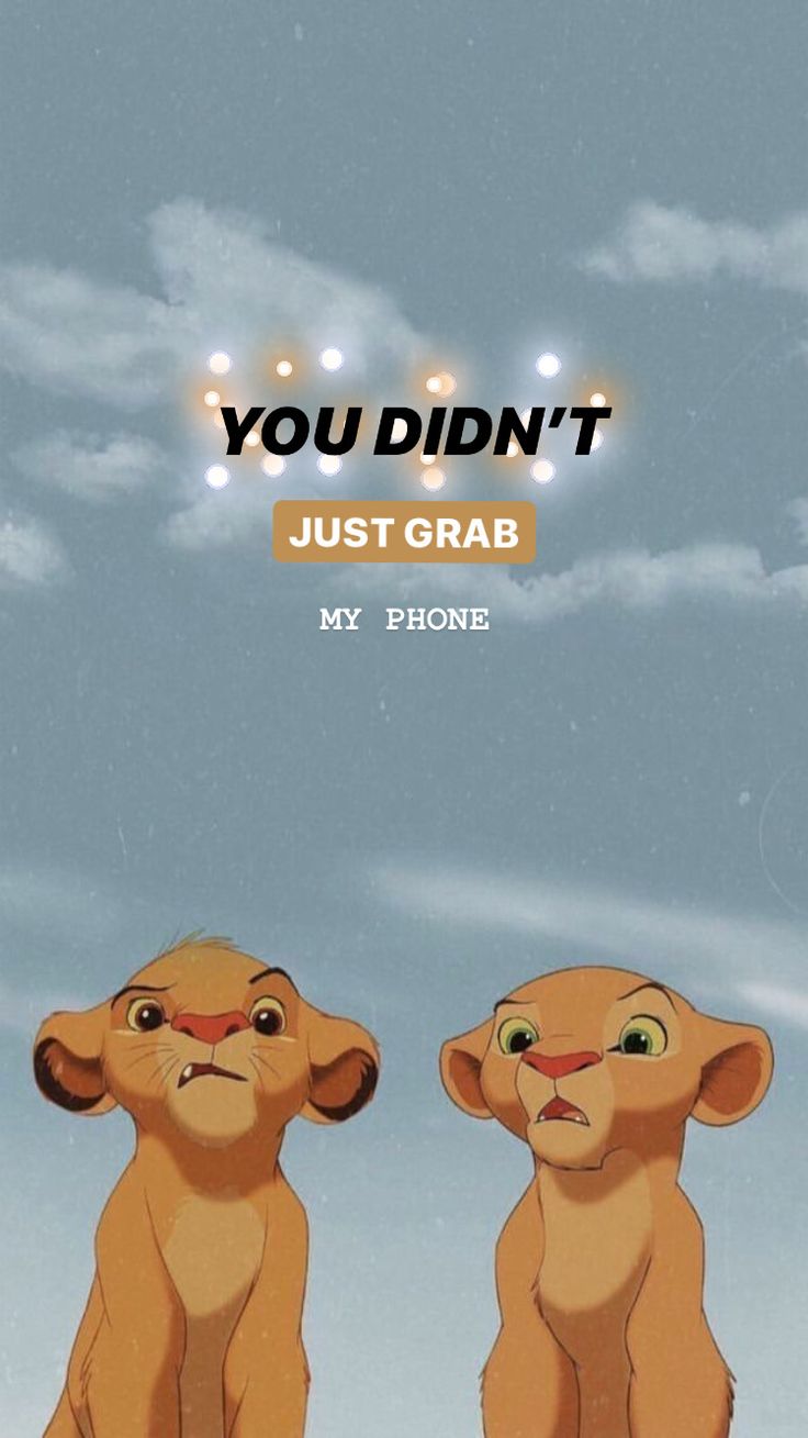 Aesthetic Funny Phone Wallpapers