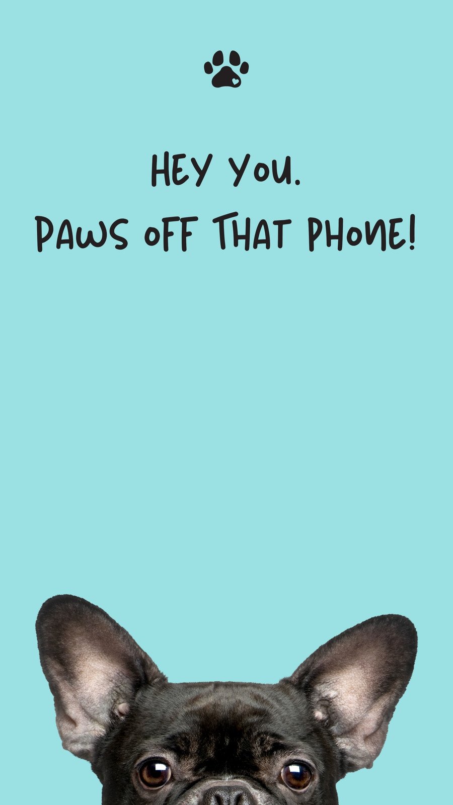 Aesthetic Funny Phone Wallpapers