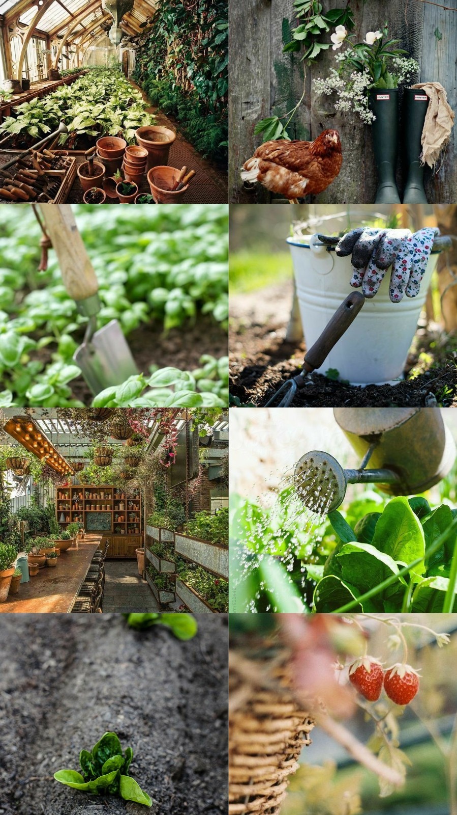 Aesthetic Garden Wallpapers